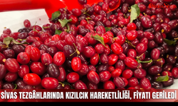 Sivas tezgâhlarında kızılcık hareketliliği, fiyatı geriledi