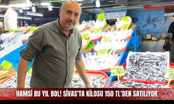 Hamsi bu yıl bol! Sivas'ta kilosu 150 TL'den satılıyor