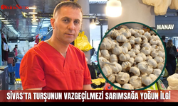 Sivas’ta turşunun vazgeçilmezi sarımsağa yoğun ilgi