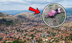 Sivas’ın Komşusunda Akılalmaz Olay!