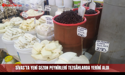 Sivas’ta yeni sezon peynirleri tezgâhlarda yerini aldı