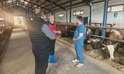 Sivas Tarım Müdürü'nden hayvancılık işletmesine ziyaret