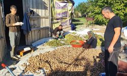 Yozgat’ta Ceviz Bol, Üreticinin Kazancı Düşük