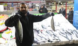 Palamut bolluğu Sivas’a da yansıdı, tanesi 100 TL’den satılıyor