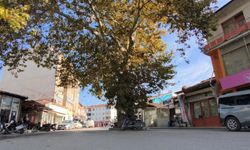 Sivas Kurulu, darağacını korumaya aldı