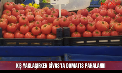 Kış Yaklaşırken Sivas’ta Domates Pahalandı