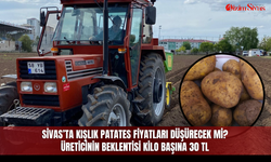 Sivas’ta kışlık patates fiyatları düşürecek mi? Üreticinin beklentisi kilo başına 30 TL