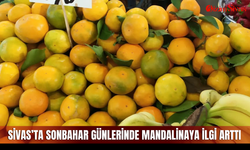 Sivas’ta sonbahar günlerinde mandalinaya ilgi arttı