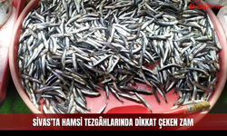 Sivas’ta hamsi tezgâhlarında dikkat çeken zam