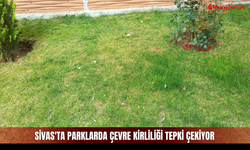 Sivas'ta parklarda çevre kirliliği tepki çekiyor