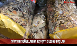 Sivas'ın soğuklarına kış çayı sezonu başladı