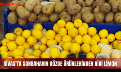 Sivas’ta sonbaharın gözde ürünlerinden biri limon