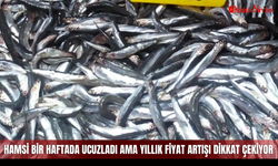 Hamsi bir haftada ucuzladı ama yıllık fiyat artışı dikkat çekiyor