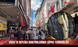 Sivas’ta replika denetimlerinde şüphe tedirginliği!