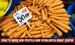 Sivas’ta havuç hem fiyatıyla hem faydalarıyla dikkat çekiyor