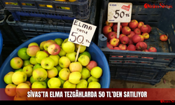 Sivas’ta Elma Tezgâhlarda 50 TL’den Satılıyor