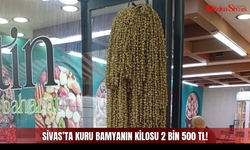 Sivas’ta kuru bamyanın kilosu 2 bin 500 TL!