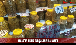 Sivas’ta Pezik Turşusuna İlgi Arttı