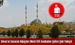 Sivas’ın Sararan Ağaçları Mest Etti Sonbahar Şehre Çok Yakıştı