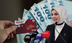 Bakanlıktan Annelere İki Nakit Destek Kimler Nasıl Alabilir?