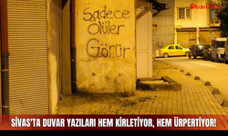 Sivas'ta duvar yazıları hem kirletiyor, hem ürpertiyor!