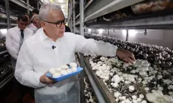 Sivas’tan 40 İle Gönderiliyor: Vali Şimşek Mantar Üretim Tesisinde