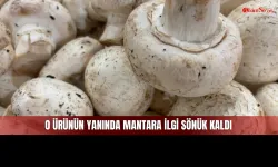 Sivas'taki İlgi Şampiyonunun Yanında Mantar Bile Sökük Kaldı!