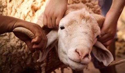 Kurban Bayramı Hazırlıkları