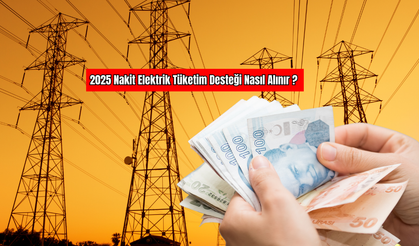 2025'te Nakit Elektrik Tüketim Desteği Nasıl Alınır?