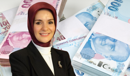 Aile Destek Ödemesi Yerine Vatandaşlık Maaşı Mı Geliyor !