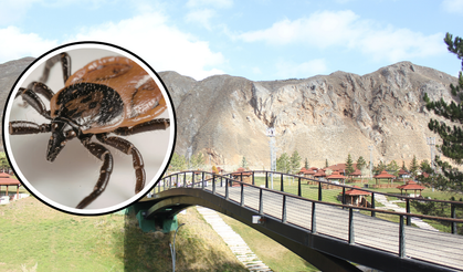 Sivas’ta Yaz Öncesi Drone Destekli İlaçlama Başladı