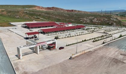 Sivas’ta Kurban Pazarı İçin Hazırlıklar Başladı