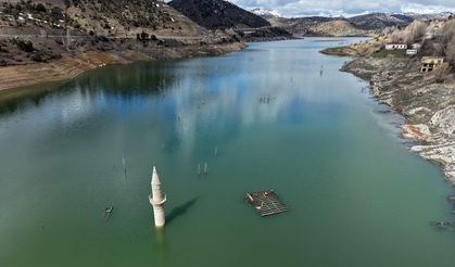 Sivas'ta Sular Çekilince Ortaya Çıkmıştı, Yeniden Kayboldu
