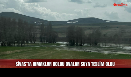 Sivas'ta taşan sular tarlalara kadar ulaştı