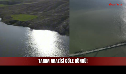 Sivas'ta Çiftçinin Umudu Sulara Gömüldü! Ekin Arazisi Göle Döndü!