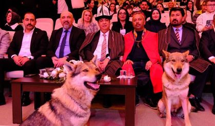 Sivas’ta Nevruz Coşkusu Kurtlar Sahneye Çıktı, Şahin Uçtu