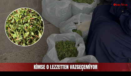 Kilosu 200 TL Oldu Ama Kimse Vazgeçemiyor!