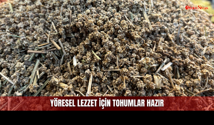 Bahçesi Olanlar Sivas'ın Yöresel Ürünü İçin Hazırlığa Başladı!