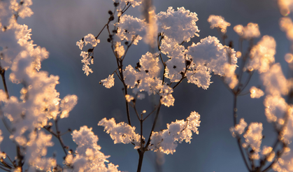 Sivas’ta Saatler Belli Oldu Çiftçiler İçin Risk Kapıda