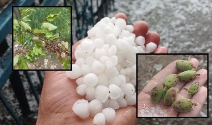 Kayısı bahçeleri doludan zarar gördü!