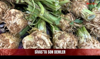 Mutfakların Sessiz Kahramanı İçin Sivas'ta Son Demler!
