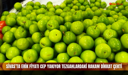 Sivas’ta erik fiyatı cep yakıyor tezgahlardaki rakam dikkat çekti
