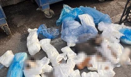 Türkiye’nin Konuştuğu Olayda Yeni Karar Tutuklandı