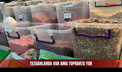 Sivaslı Bahçeciler Kara Kara Düşünüyor!