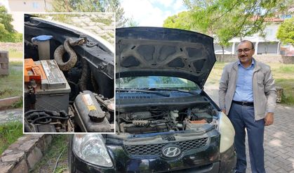 Sivas'ta otomobilin motorundan yılan çıktı