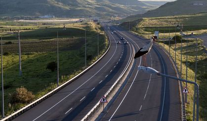 Sivas yolu üzerinde her bir direkte leylek var