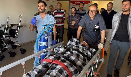 Sivas'ta ayı saldırısına uğrayan çoban yaralandı