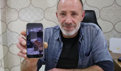 Serum takılı buzağı onu şaşırttı