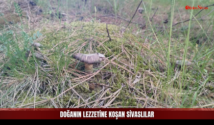 Sivaslılar İçin Keyifli Aktivite, Bazıları İçin Hayati Risk!