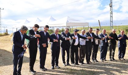 Vali Yılmaz Şimşek, Ağılkaya Köyü'nde Düğün Sevincine Ortak Oldu